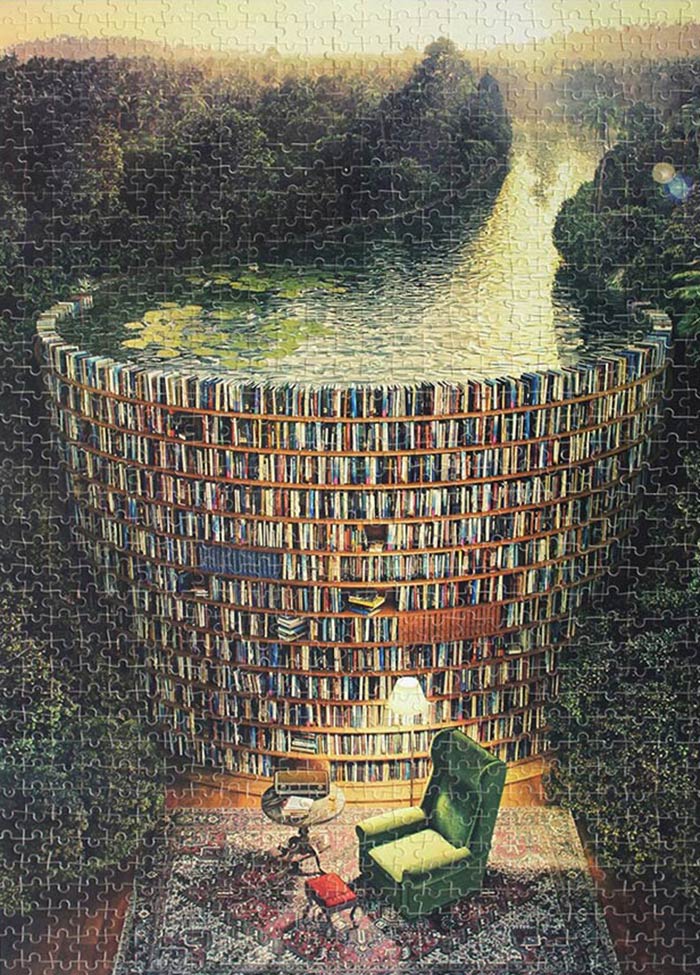 Bookshelf Dam