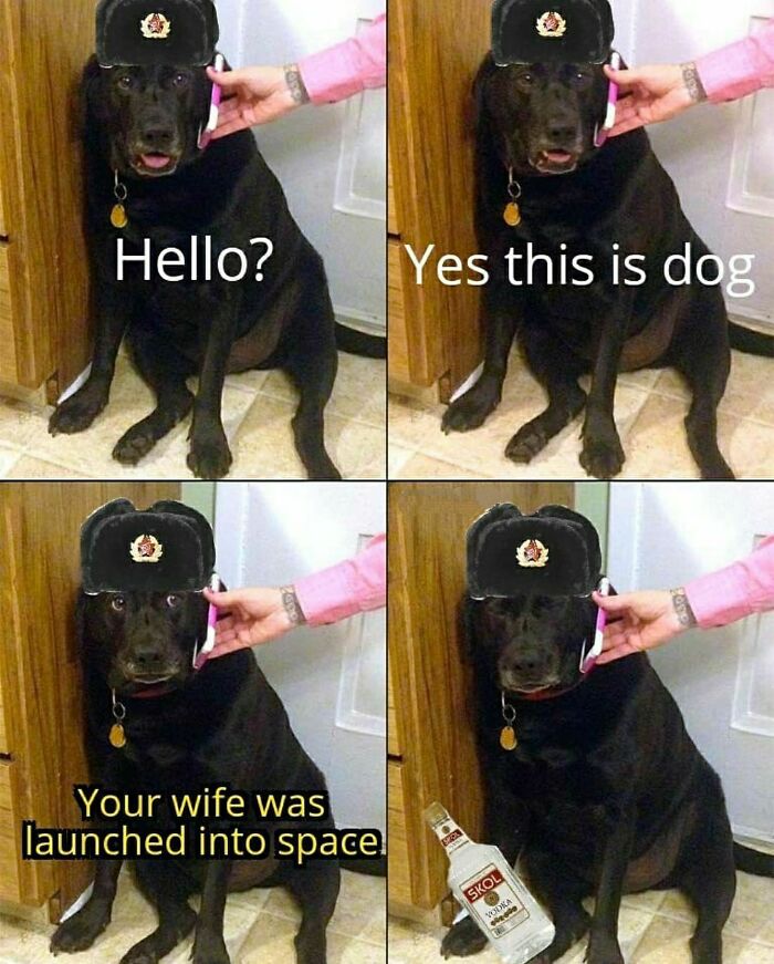 Oh No Laika