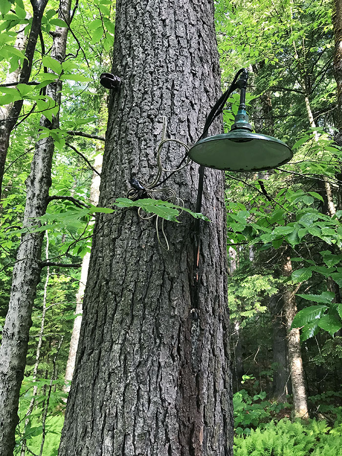Lamp “Post” In The Adirondacks, New York