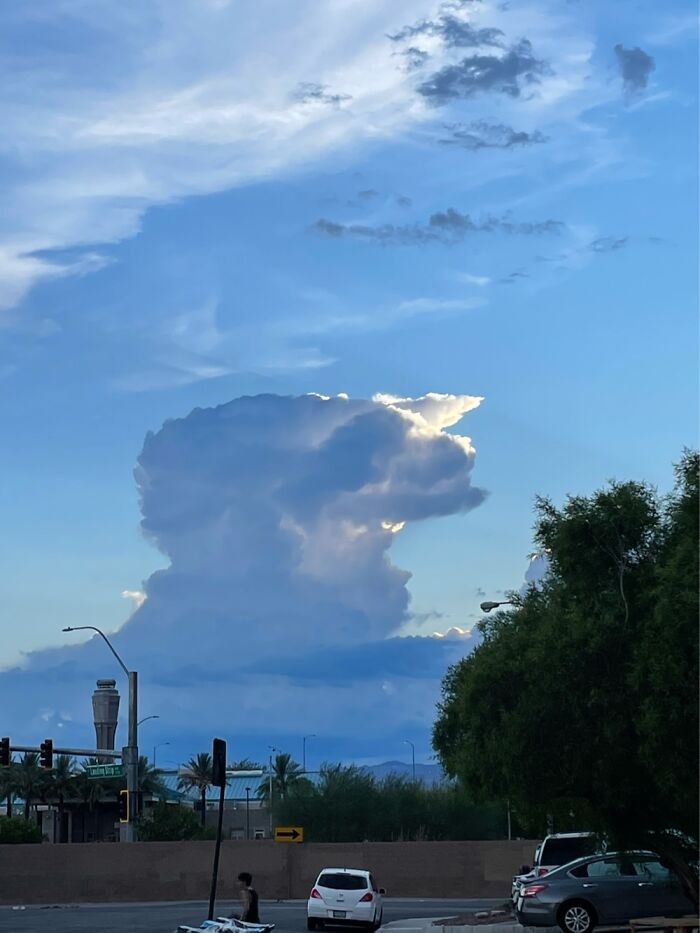 I See A Dog And Below That Is A Face Profile