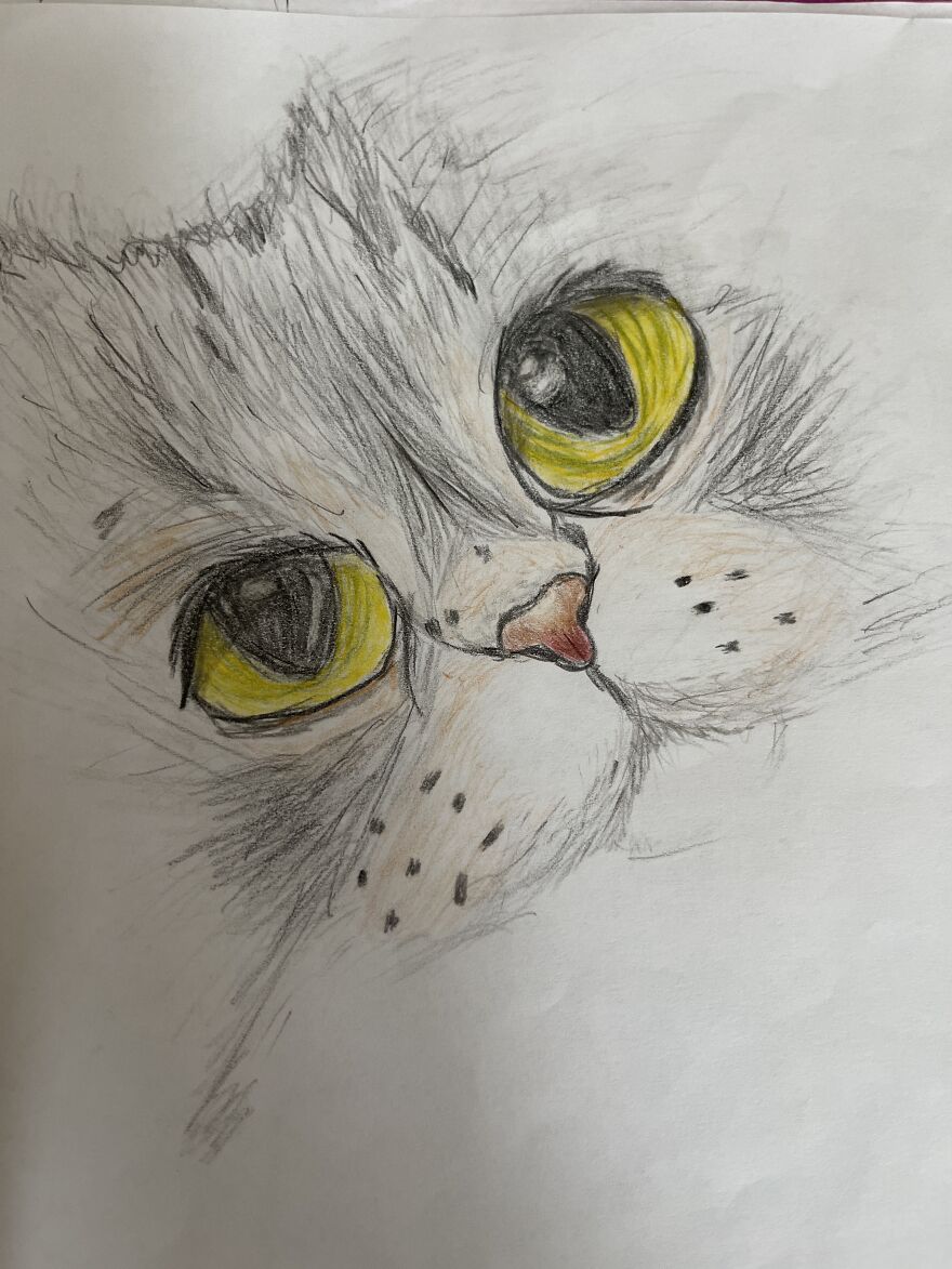 Here Are Some Of My Realistic Drawings!