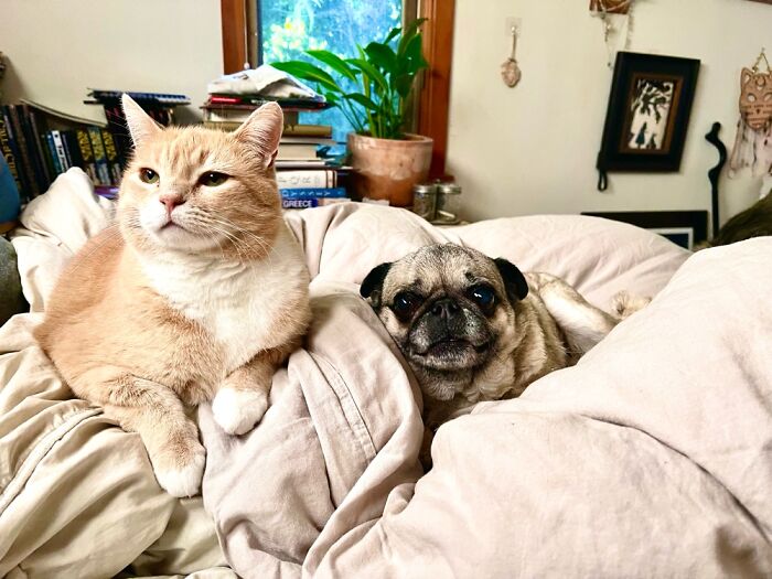 My Bed. I’m Disabled And This Is The Epicenter