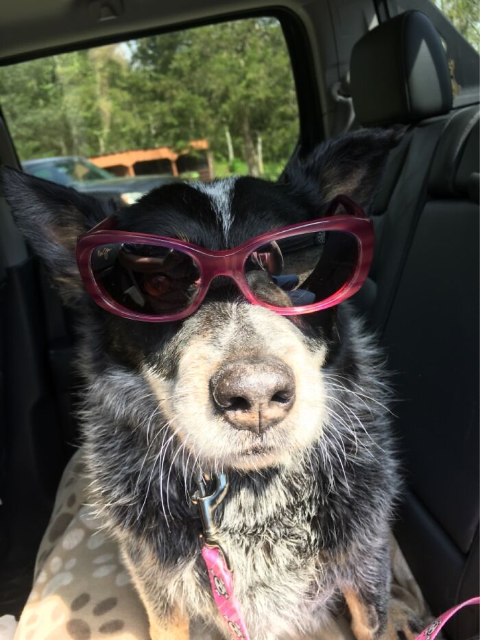 My Beautiful Baby Belle