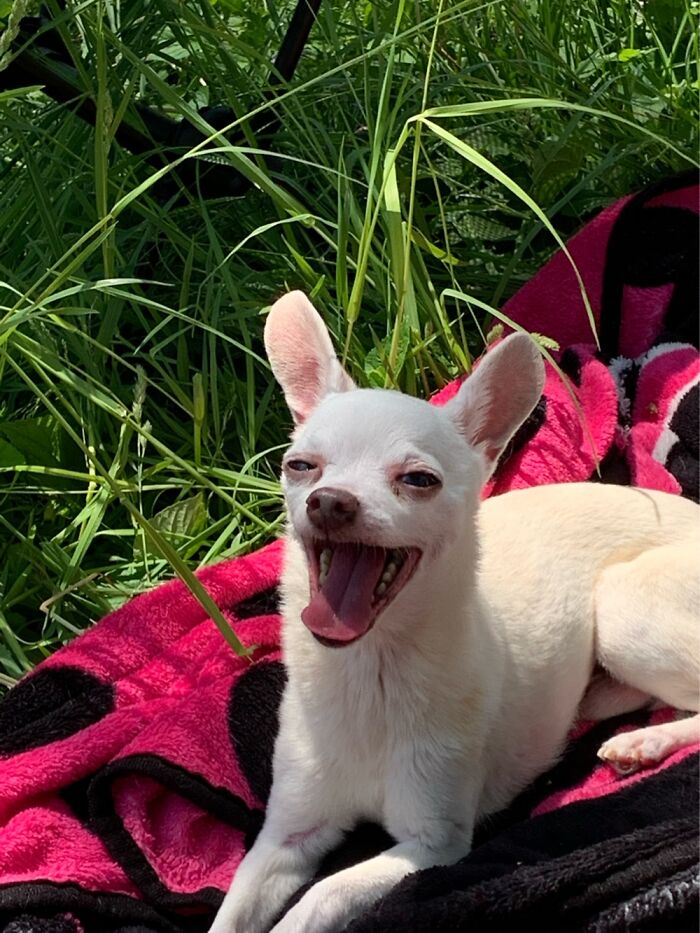 Enjoying The Nice Day