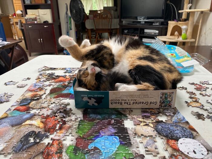 No More Puzzling Today!