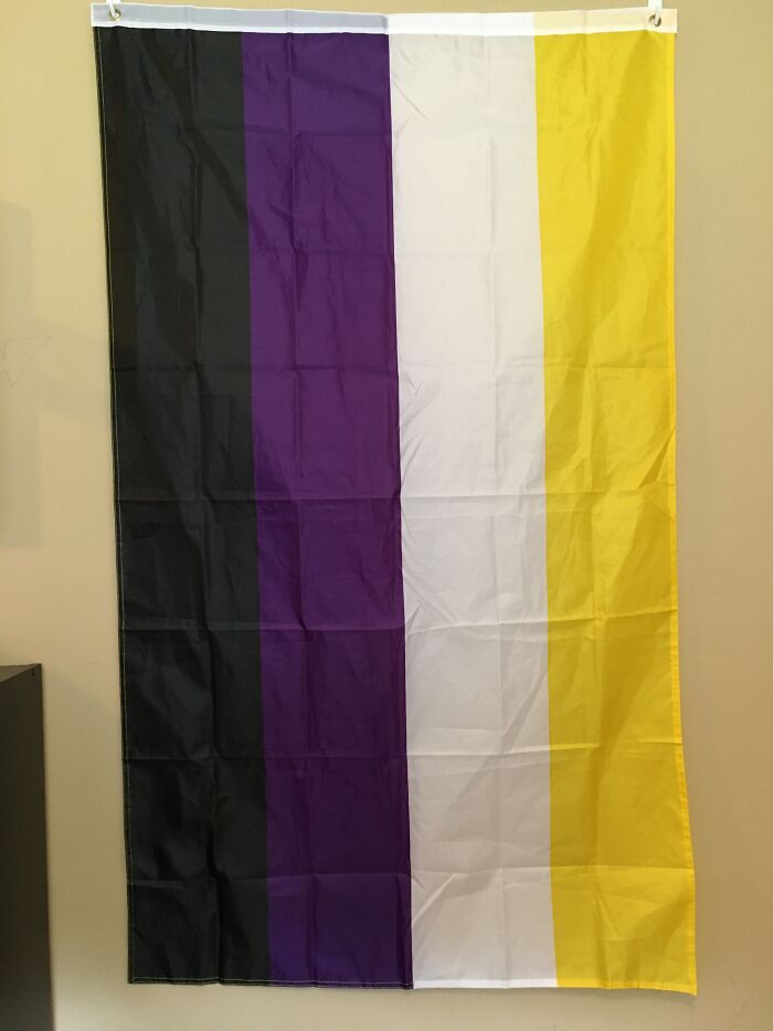 After Weeks Of Asking, I Finally Convinced My Parents To Let Me Get A Pride Flag
