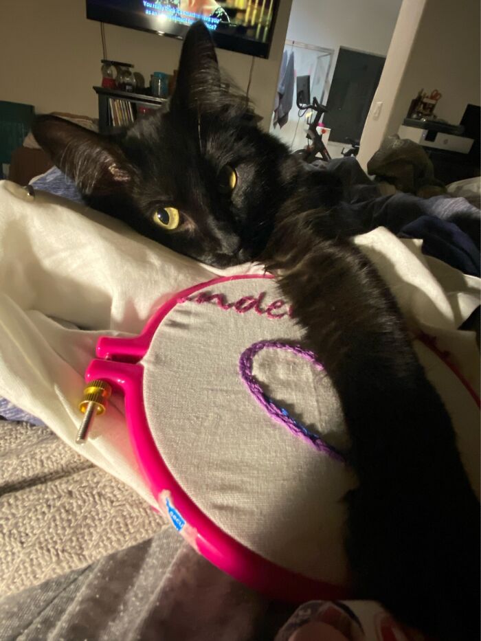 “No Hobby! Only Love!”