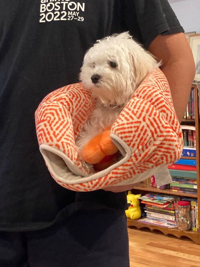 I Know I Already Posted But This Is A Friends Dog And Thought She Would Like A Photo