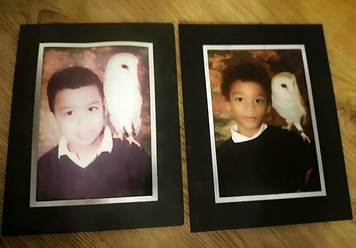 Pictures Of Me And My Brother With The Same Owl 10 Years Apart