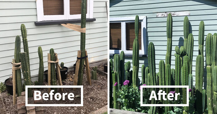 50 Of The Best Pics From The ‘Gardening’ Online Group (New Pics)