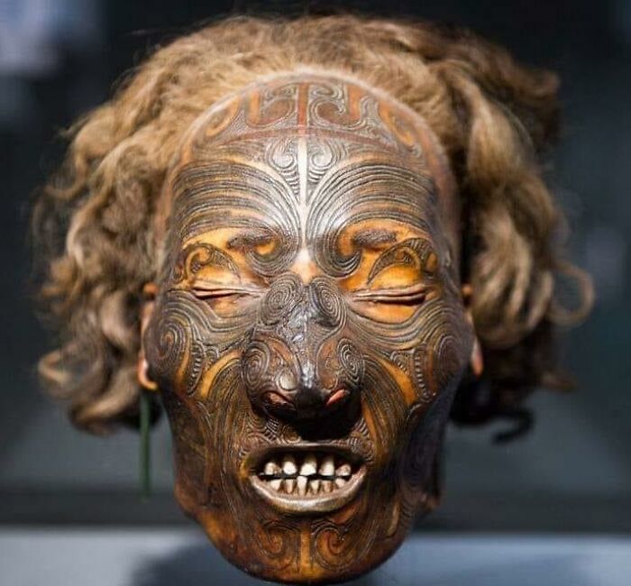 Mummified Head (Mokomokai) With Moko Facial Tattoo