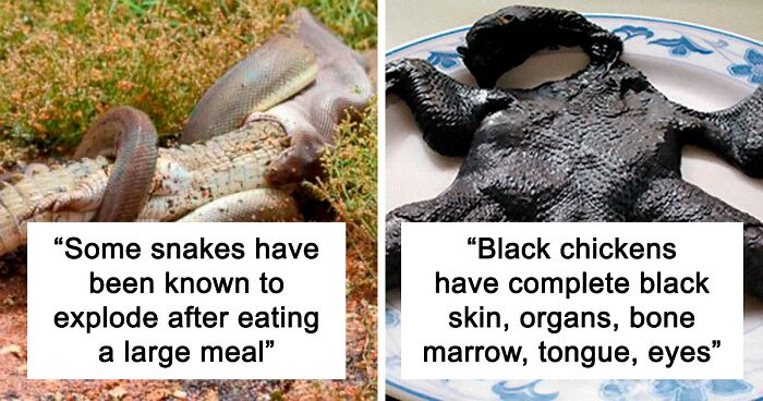 40 Weird But Cool Wildlife Facts That You Can Throw Out In Casual Conversation, As Shared On This Facebook Group