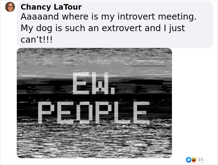 Video Of Introverted Dogs Meeting Up Has Melted Hearts All Over The Internet And Made People Say “Relatable!” Video Of Introverted Dogs Meeting Up Has Melted Hearts All Over The Internet And Made People Say “Relatable!”