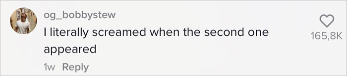 Man Captures A Karen Lying Under His Truck To Make Him Carry The Fridge He Delivered Inside On Video And Goes Viral Online Man Captures A Karen Lying Under His Truck To Make Him Carry The Fridge He Delivered Inside On Video And Goes Viral Online