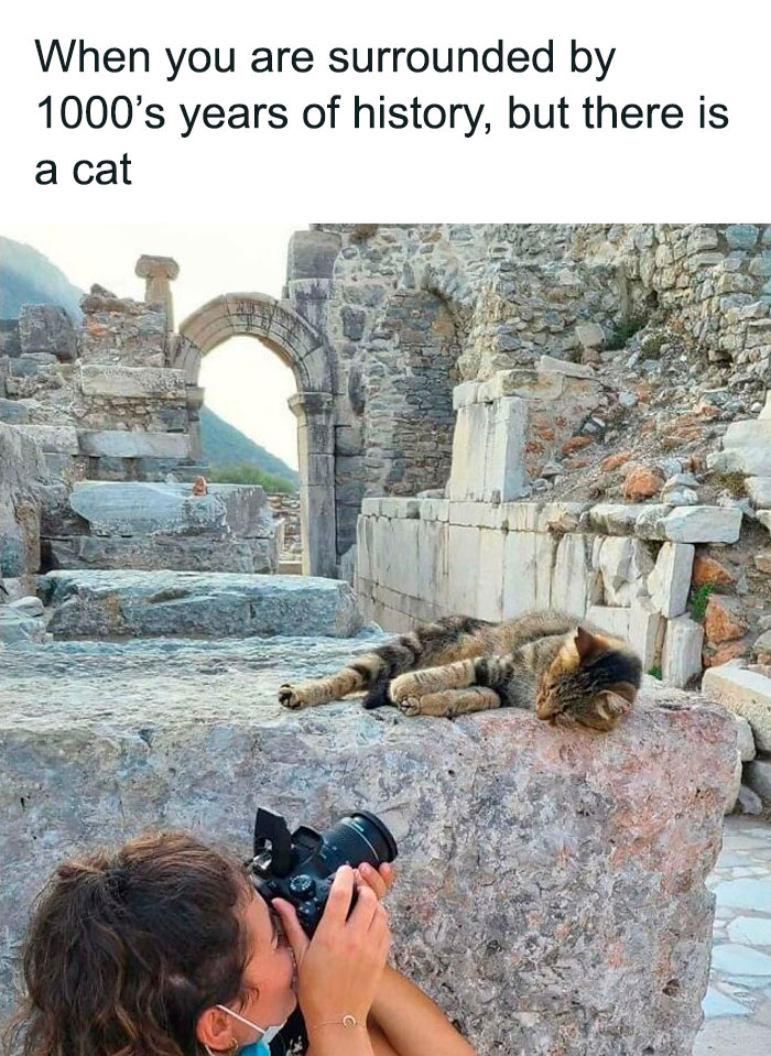 Memes-History-For-The-Witty