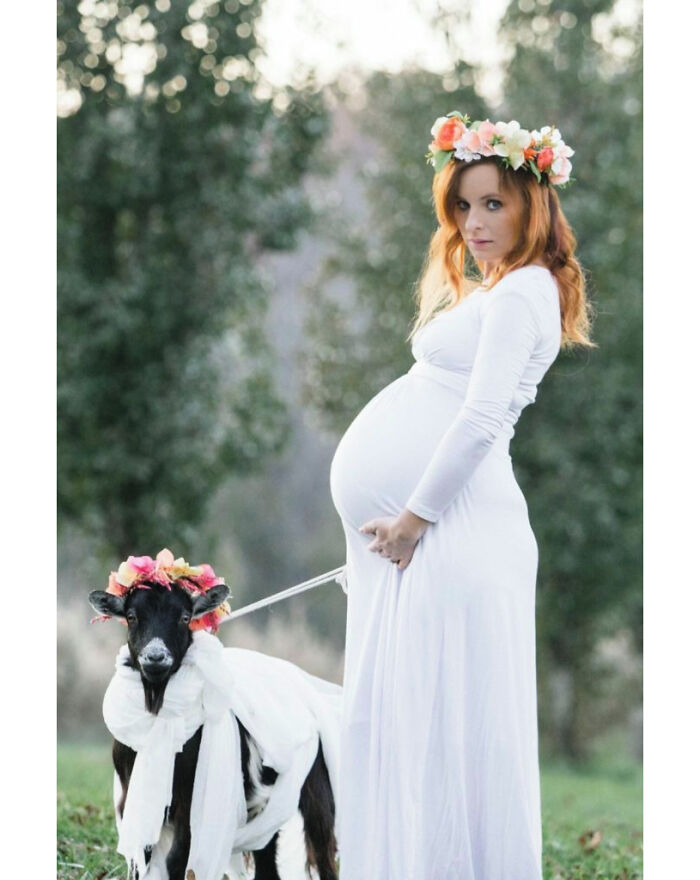 “One Of Our Goats And I Were Both Pregnant With Twins And Due The Same Week. I Made Her Dress Up And Take Maternity Photos With Me”