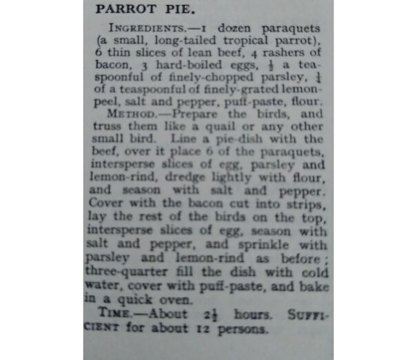 parrot-62fc475ba2867-png.jpg