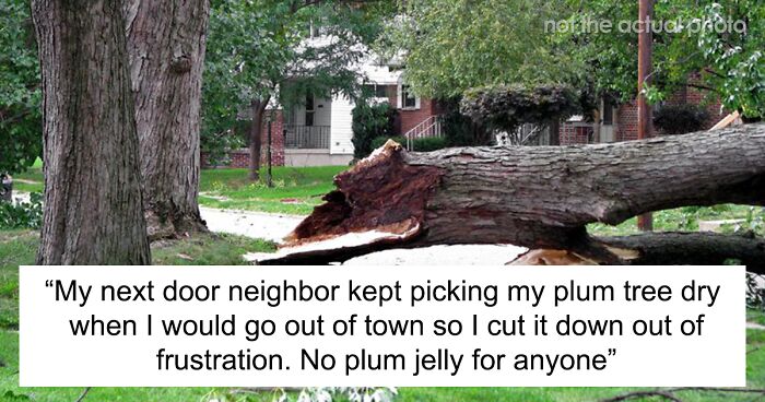 Someone Online Asked “What’s Your ‘If I’m Going Down I’m Taking You With Me’ Story?”, And 35 Folks Delivered