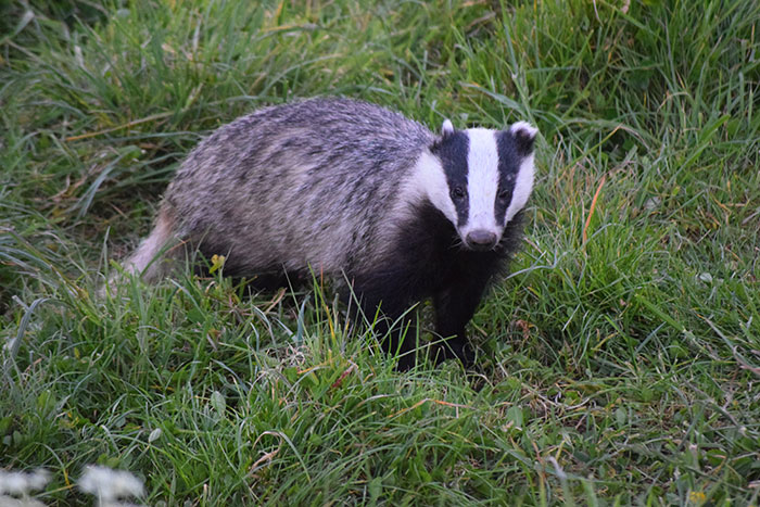 Someone Asked, ‘What’s A Secret You’ll Never Tell Your Partner?’, 40 People Delivered