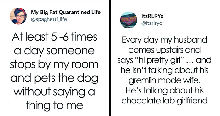 People Are Sharing Embarrassing Moments When They Thought Someone Was Speaking To Them Instead Of Their Pet, And Here Are 29 Of The Funniest Ones