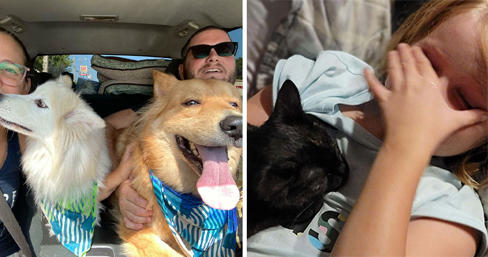 45 Wholesome Pics Of Adopted Pets That Show What Joy Giving Them A Second Chance Brings To Everybody (August Edition)
