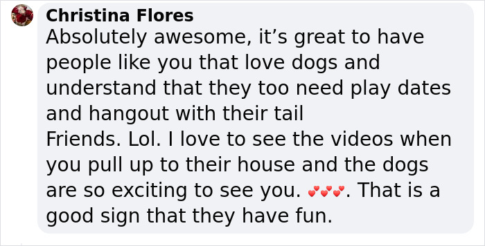 “My Dog Isn't Lonely At Home”: Adorable Doggy School Bus Picks Up Pups Every Day And Takes Them To Daycare “My Dog Isn't Lonely At Home”: Adorable Doggy School Bus Picks Up Pups Every Day And Takes Them To Daycare