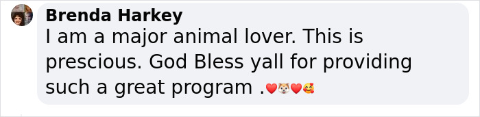 “My Dog Isn't Lonely At Home”: Adorable Doggy School Bus Picks Up Pups Every Day And Takes Them To Daycare “My Dog Isn't Lonely At Home”: Adorable Doggy School Bus Picks Up Pups Every Day And Takes Them To Daycare