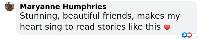 Raccoon Is Completely Obsessed With Fawn Who Lost Mom, Gives Her Hugs Every Day Raccoon Is Completely Obsessed With Fawn Who Lost Mom, Gives Her Hugs Every Day