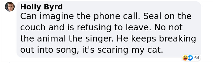 Cheeky Seal Breaks Into Family Home, Terrorizes Cat And Chills On Couch, And The Internet Is In Stitches Cheeky Seal Breaks Into Family Home, Terrorizes Cat And Chills On Couch, And The Internet Is In Stitches
