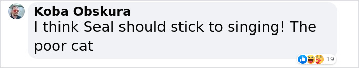 Cheeky Seal Breaks Into Family Home, Terrorizes Cat And Chills On Couch, And The Internet Is In Stitches Cheeky Seal Breaks Into Family Home, Terrorizes Cat And Chills On Couch, And The Internet Is In Stitches