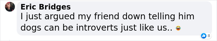 Video Of Introverted Dogs Meeting Up Has Melted Hearts All Over The Internet And Made People Say “Relatable!” Video Of Introverted Dogs Meeting Up Has Melted Hearts All Over The Internet And Made People Say “Relatable!”