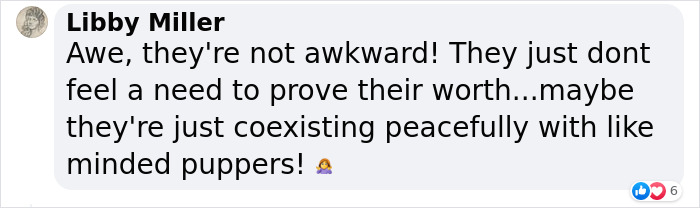 Video Of Introverted Dogs Meeting Up Has Melted Hearts All Over The Internet And Made People Say “Relatable!” Video Of Introverted Dogs Meeting Up Has Melted Hearts All Over The Internet And Made People Say “Relatable!”