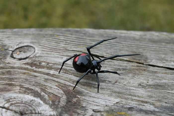 A Selection Of Glass Figures Of Black Widow Spiders By The Glass Symphony Family Workshop (9 Pics)