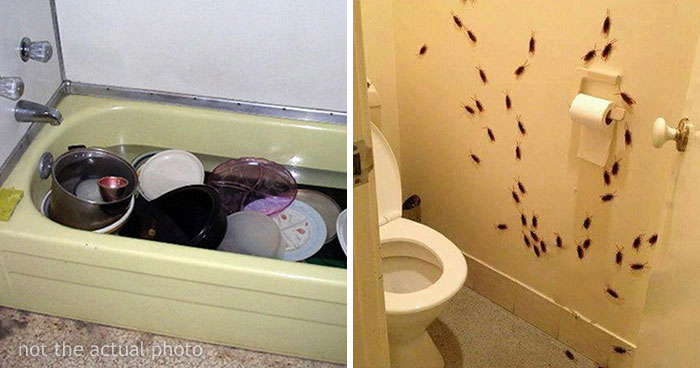 35 Times People Said “Nope, I’m Never Coming To This House Again” When Visiting Someone