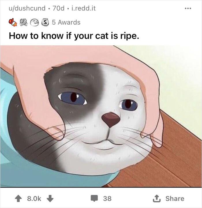 26 Of The Weirdest And Most Funny Images Saved To My Computer. 26 Of The Weirdest And Most Funny Images Saved To My Computer.