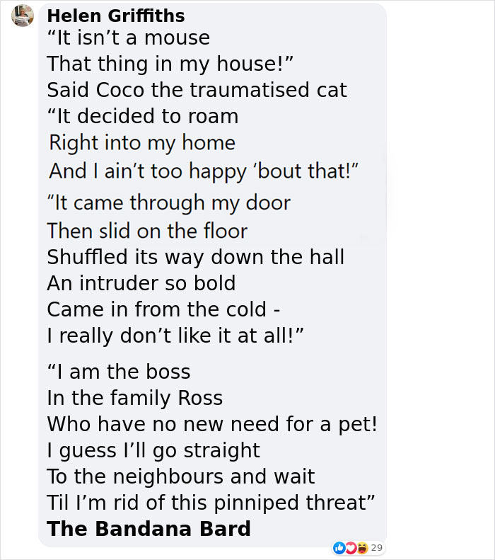 Cheeky Seal Breaks Into Family Home, Terrorizes Cat And Chills On Couch, And The Internet Is In Stitches Cheeky Seal Breaks Into Family Home, Terrorizes Cat And Chills On Couch, And The Internet Is In Stitches