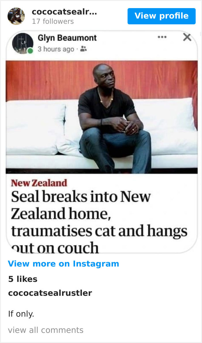 Cheeky Seal Breaks Into Family Home, Terrorizes Cat And Chills On Couch, And The Internet Is In Stitches Cheeky Seal Breaks Into Family Home, Terrorizes Cat And Chills On Couch, And The Internet Is In Stitches