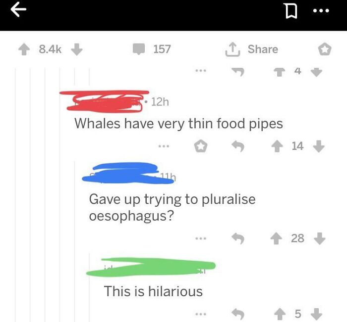 Food Pipes
