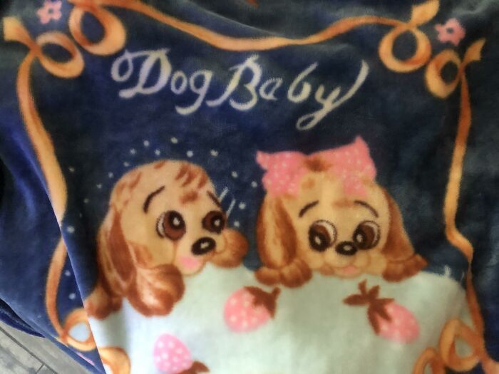 Whoever Made This Blanket Couldn’t Remember The Word “Puppy”