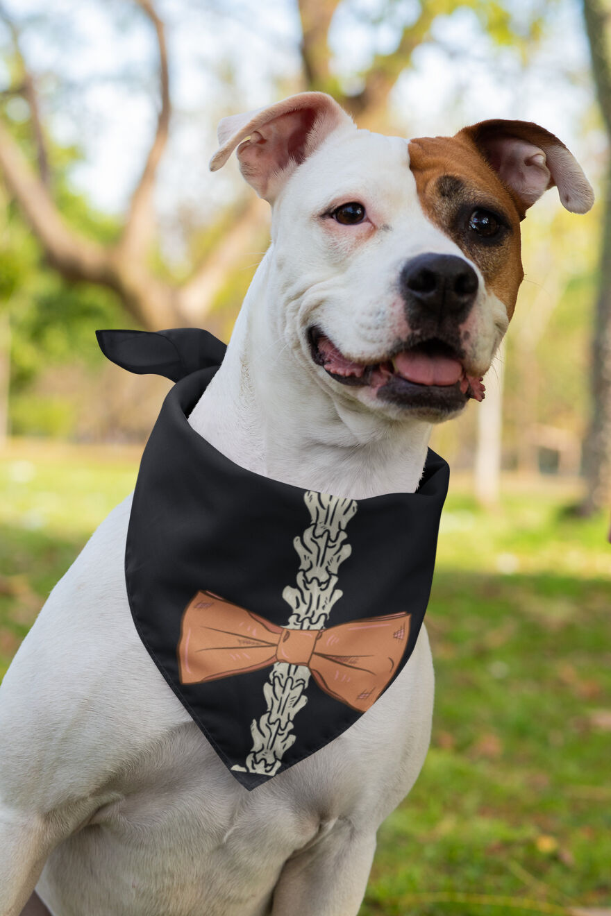 I Made Hiking Halloween Costumes For You And Your Dog I Made Hiking Halloween Costumes For You And Your Dog