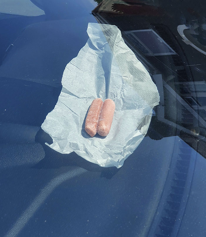 It's Been So Hot Today (UK) That I Managed To Cook Vegetarian Sausages In My Car. It Took 6 Hours