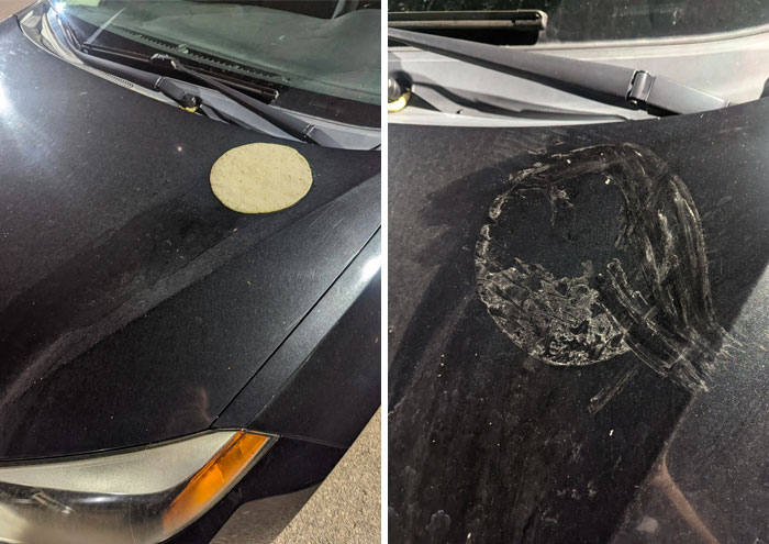 Somebody Put A Tortilla On My Hood. It Baked On There Due To High Heat Yesterday. Now I Have To Clean It Off When I Get Off Work