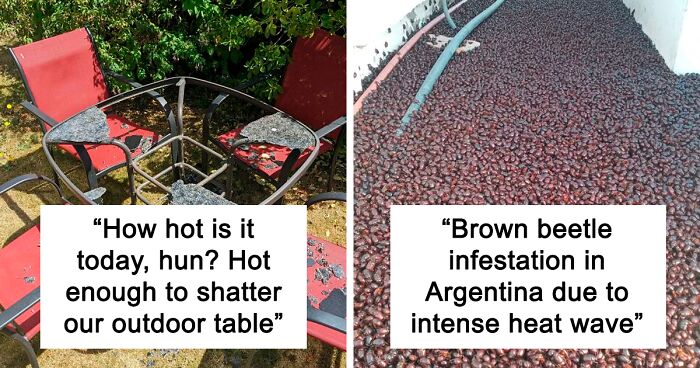 50 Pics From The Terrible Heatwaves That Happened This Summer