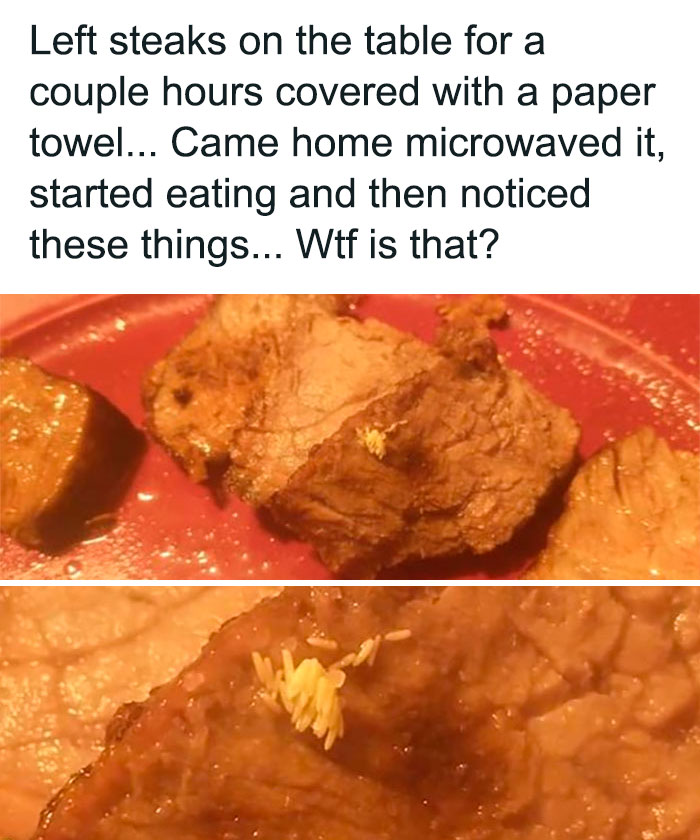 Terrible-Food-Pics-Why-Dont-Do-Potlucks