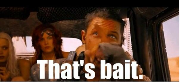 thats-bait-62faeee27c561-jpeg.jpg