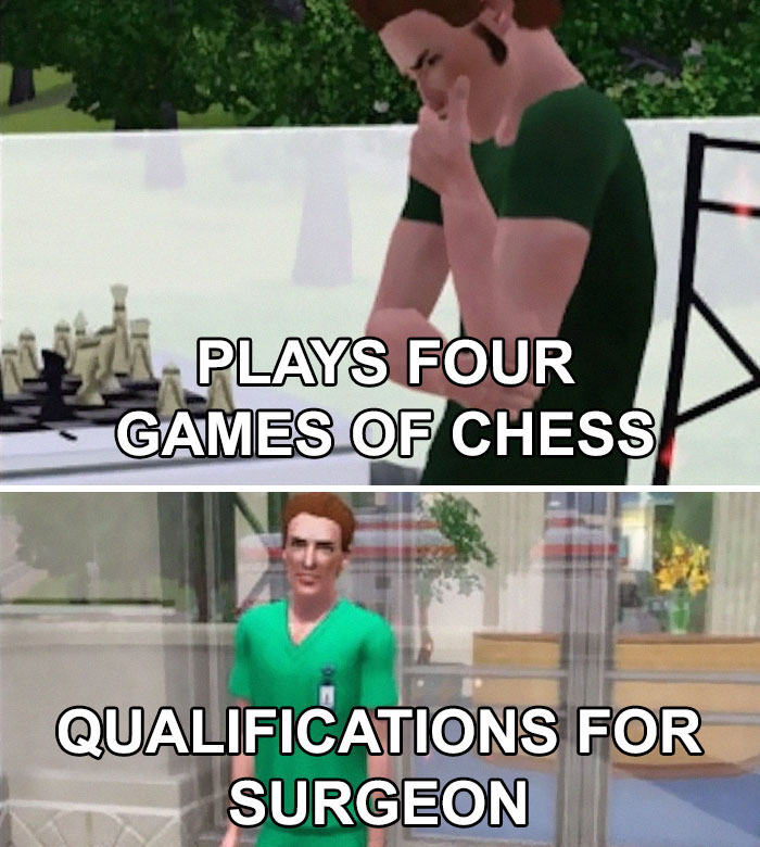 Sims Memes