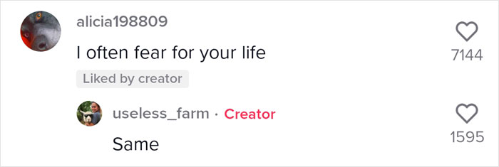 Millions Of People Can’t Get Enough Of The ‘Useless Farm’s’ Animals, Especially An Emu Named Karen, Who’s Out For Blood Millions Of People Can’t Get Enough Of The ‘Useless Farm’s’ Animals, Especially An Emu Named Karen, Who’s Out For Blood