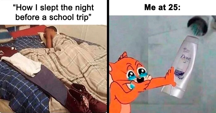 People Share 50 Painfully Hilarious Memes To Sum Up Adulthood