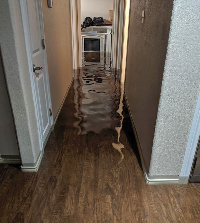 My Dad Just Finished Remodeling His House Last Month From The Last Major Hurricane. Woke Up At 2 This Morning To 7 Inches Of Water Through The House