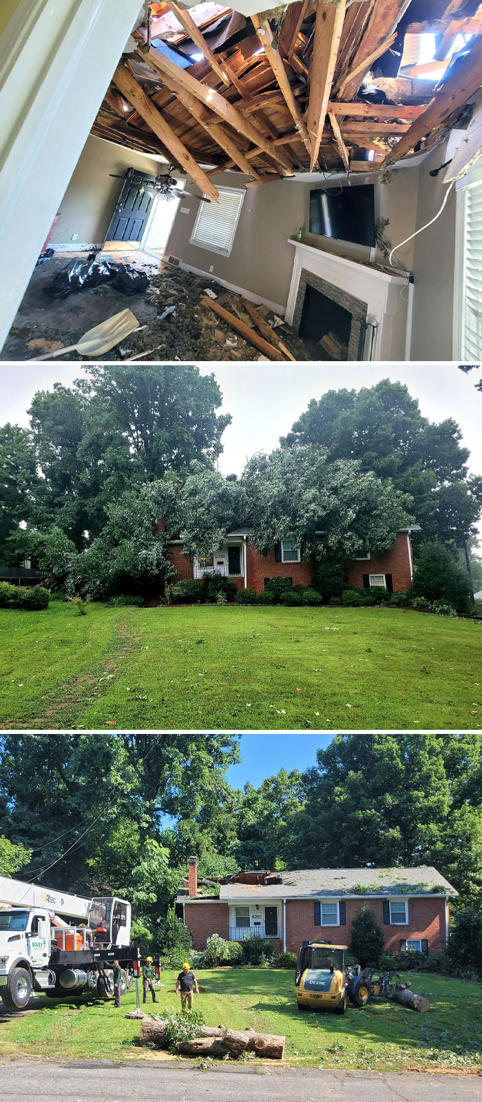 My Neighbor's Tree Went Through My House Yesterday. Really Bad Storm Ripped Through Central North Carolina